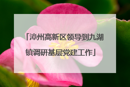 漳州高新区领导到九湖镇调研基层党建工作